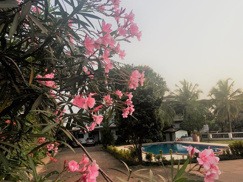 Gr Stays - Duplex 3Bhk Villa With Pool Arpora I Baga Beach 5 Mins المظهر الخارجي الصورة